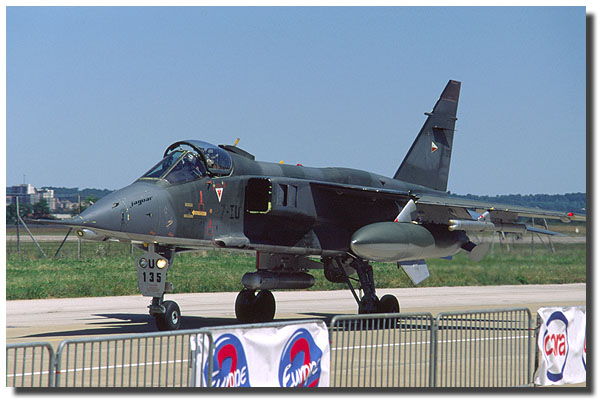 jaguar