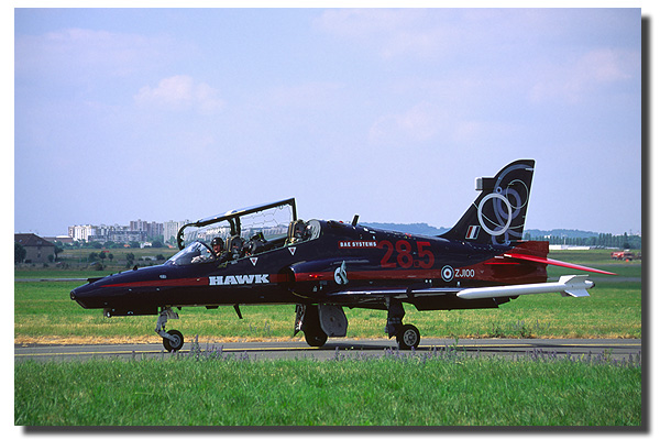 hawk
