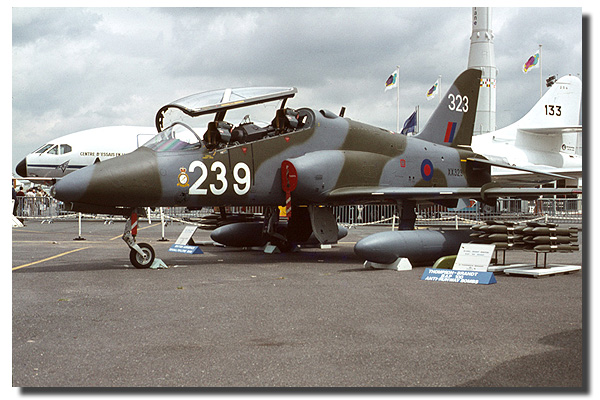 hawk