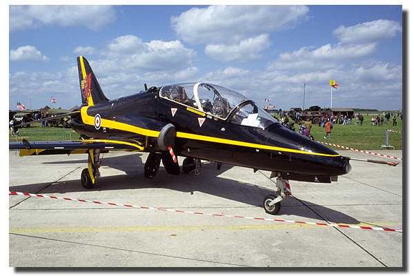 hawk