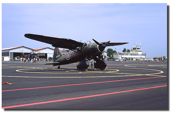 lysander