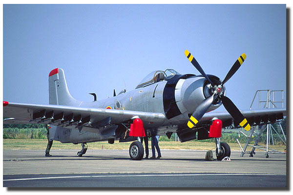 skyraider