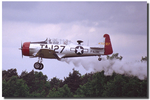 T-6