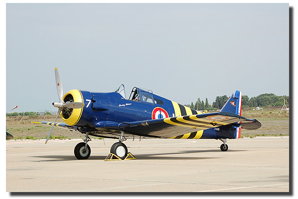 T-6